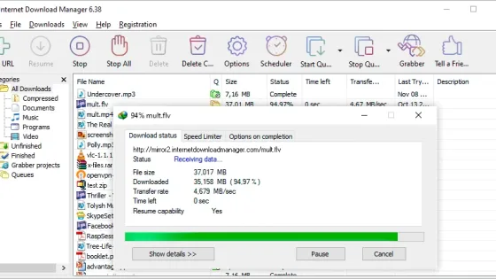 Internet Download Manager Ekran Görüntüsü 1