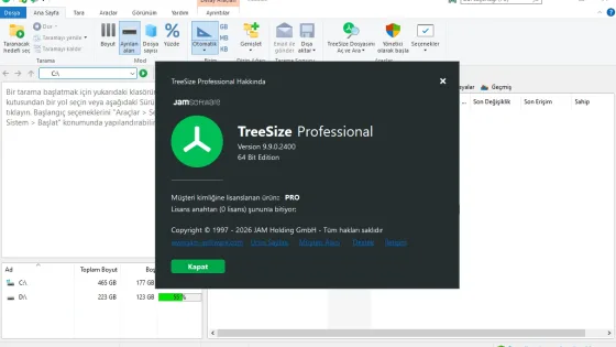 TreeSize Professional Ekran Görüntüsü 1