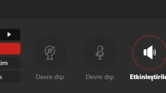 Abelssoft ScreenVideo Ekran Görüntüsü 1